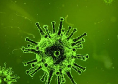 Ερωτηματολόγιο κορονοϊού: Η συμπλήρωσή του θα δώσει μεγάλες απαντήσεις για τη συμπεριφορά του ιού