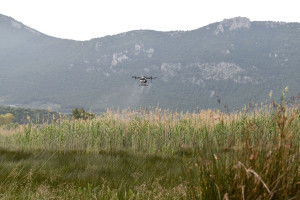 Εντατικοί ψεκασμοί στην Ανατολική Αττική κατά των κουνουπιών