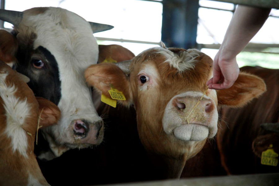 Αρχείου EUROKINISSI