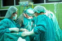 Η πρώτη πετυχημένη μεταμόσχευση νεφρού γουρουνιού σε άνθρωπο είναι γεγονός