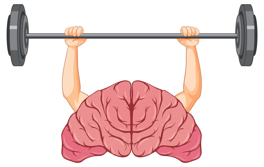 Η συσσώρευση λίπους στον οργανισμό γερνάει τον εγκέφαλο