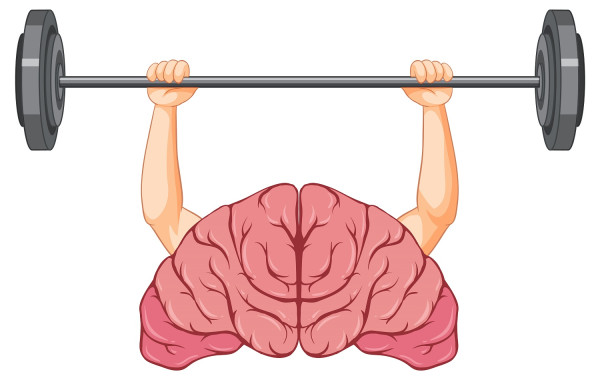 Η συσσώρευση λίπους στον οργανισμό γερνάει τον εγκέφαλο