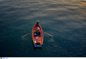 Καθαρά από παθογόνα μικρόβια ψάρια και οστρακοειδή του Θερμαϊκού