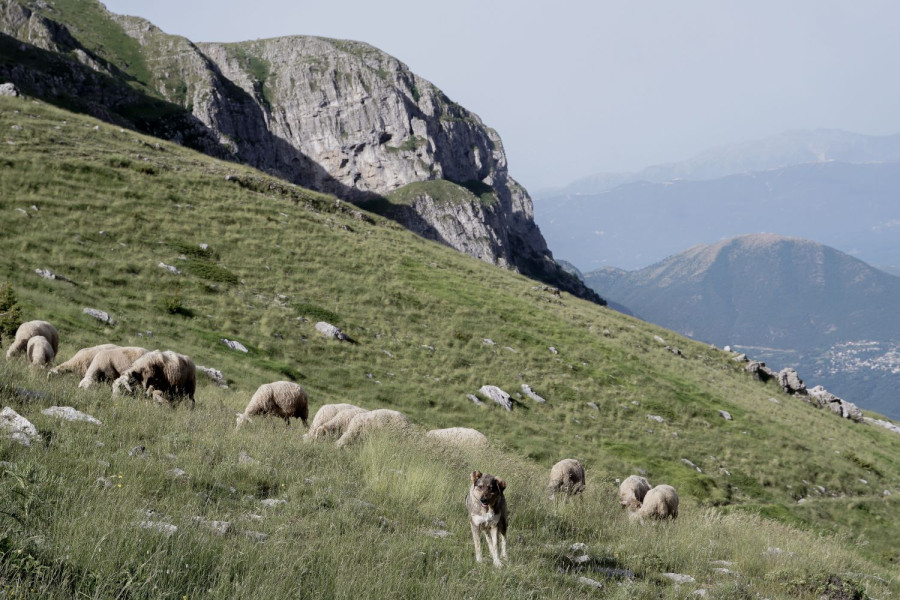 EUROKINISSI 