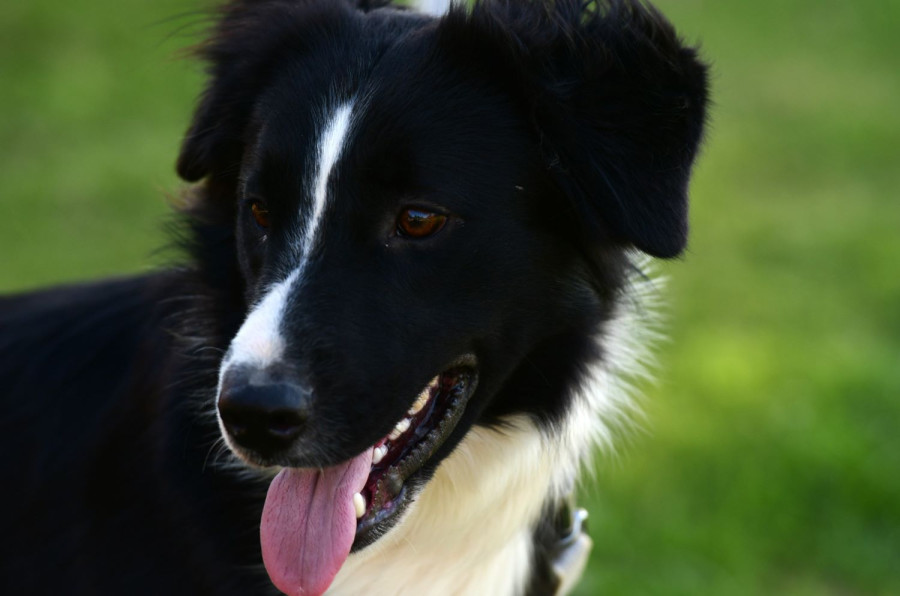 Αρχείου INTIME