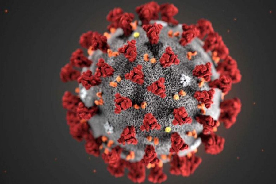 Μελέτη SARS-CoV-2: Πού είναι πιο ευάλωτος ο ιός έναντι των αντισωμάτων