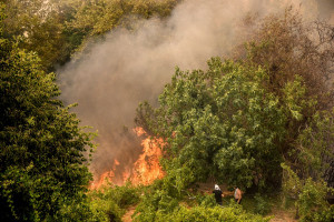 Η κλιματική κρίση «πυροδοτεί» όλο και περισσότερες φωτιές στην Ευρώπη