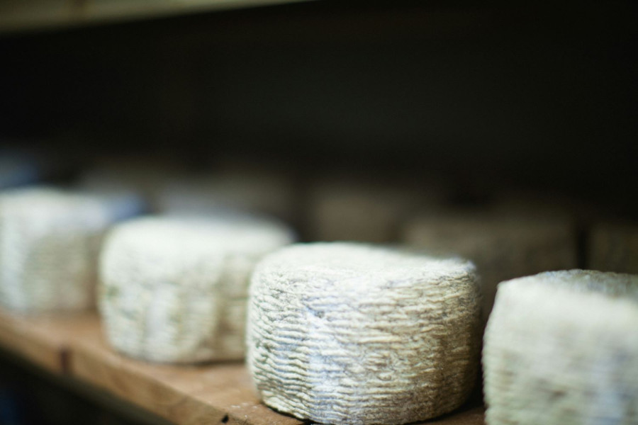 Αρχείου UNSPLASH