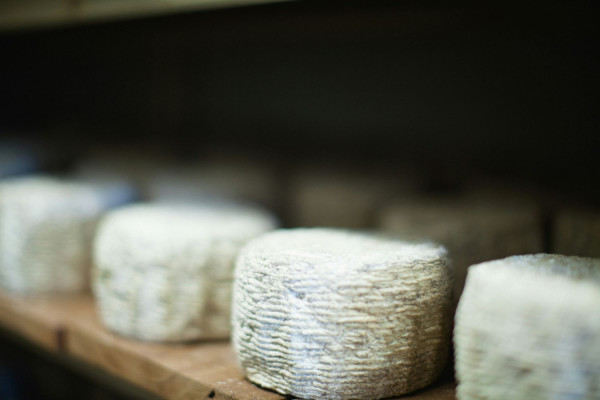 Αρχείου UNSPLASH