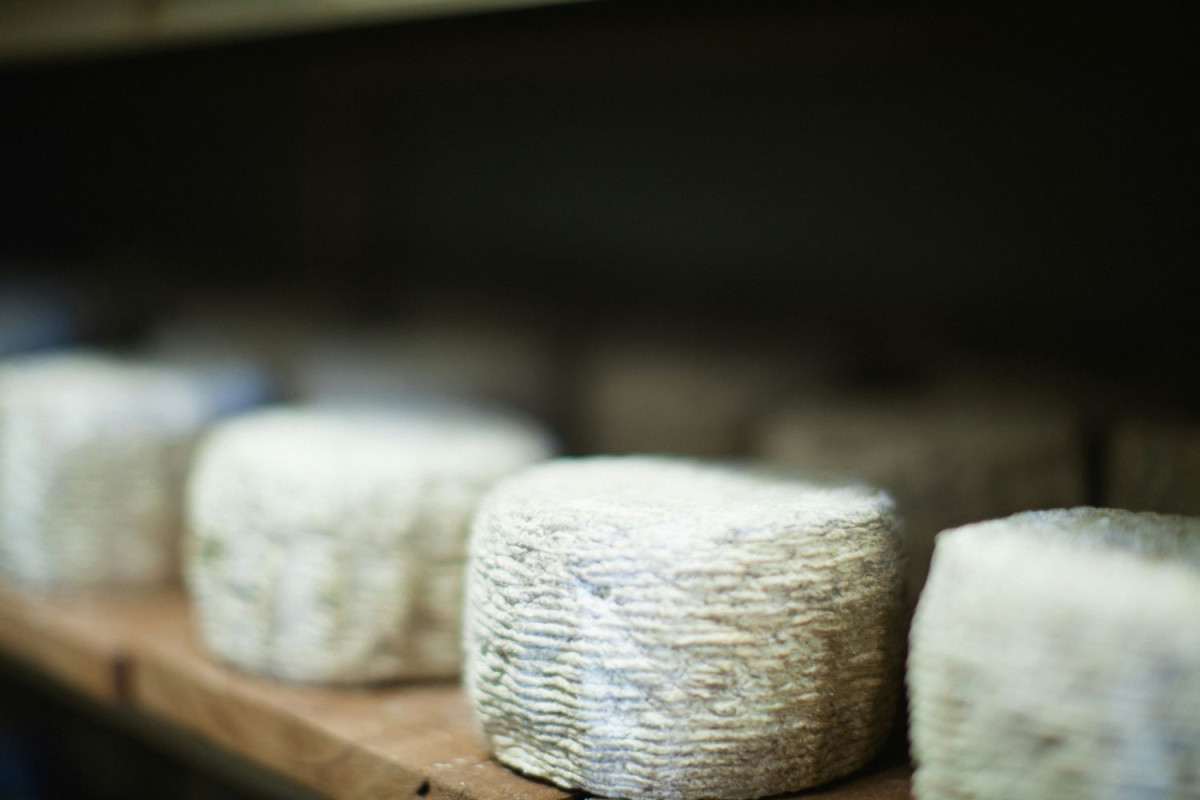 Αρχείου UNSPLASH