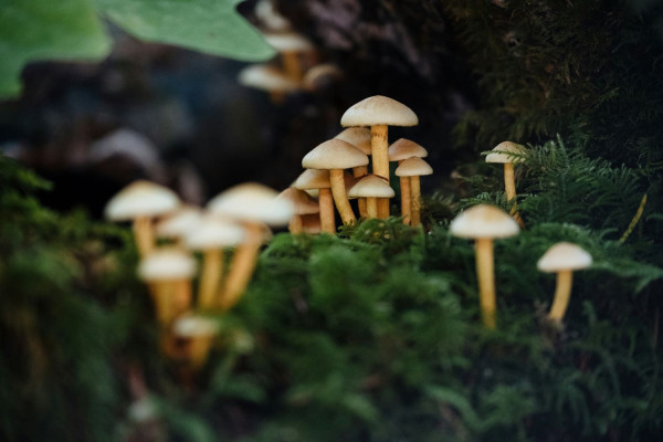 UNSPLASH