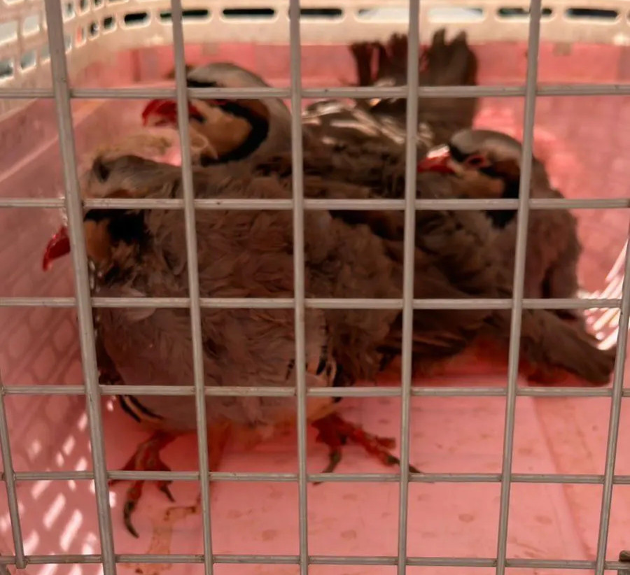 Αρχείου EUROKINISSI