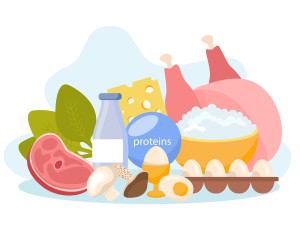 Πρωτεΐνη: Πότε η μεγάλη πρόσληψη μπορεί να προκαλέσει περισσότερο κακό παρά καλό