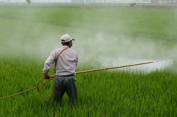 Η Ευρωβουλή ζητεί τη δραστική μείωση της χρήσης χημικών φυτοφαρμάκων