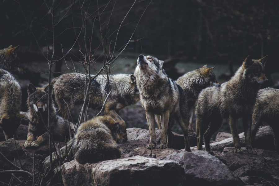 UNSPLASH