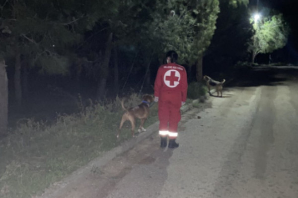 «Υπηρεσία περιπάτου για Ζώα Συντροφιάς» από τον Ελληνικό Ερυθρό Σταυρό