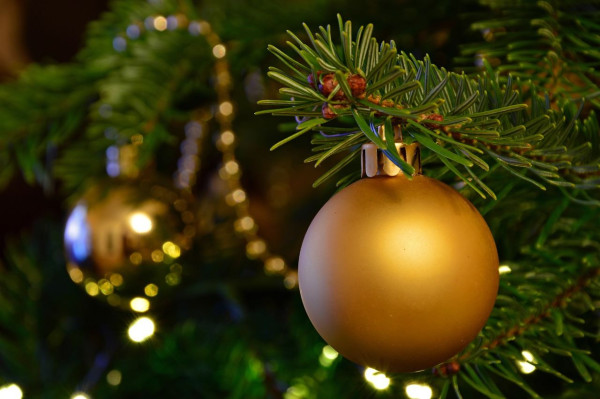 «Σύνδρομο του χριστουγεννιάτικου δέντρου» - Τι προκαλούν κόκκοι γύρης και μύκητες