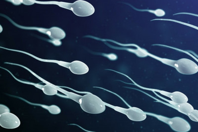 Ιούνιος Μήνας Γονιμότητας: Υπογονιμότητα γένους… αρσενικού