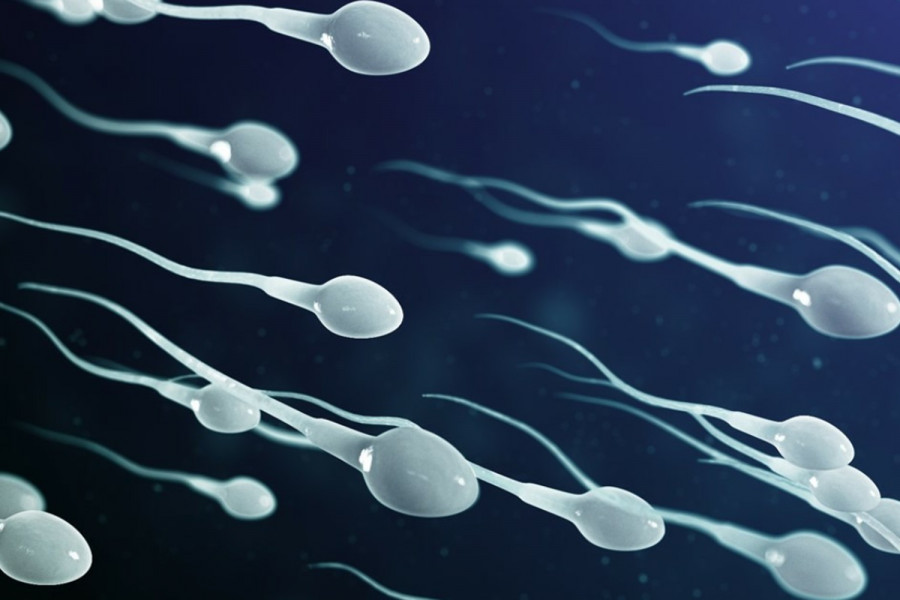 Ιούνιος Μήνας Γονιμότητας: Υπογονιμότητα γένους… αρσενικού