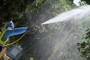 SOS από το ECDC για τον ιό του Δυτικού Νείλου: Ρεκόρ κρουσμάτων και εξάπλωση σε νέες περιοχές της ΕΕ