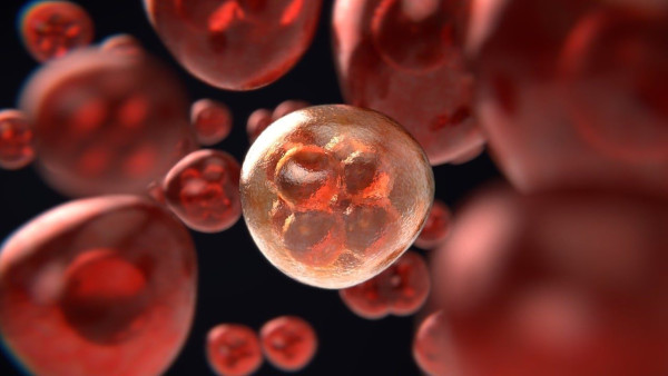 Πρωτεΐνες στο αίμα στέλνουν «σήμα» για καρκίνο πολλά χρόνια προτού διαγνωστεί