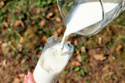 Έρευνα: Το γάλα δεν αυξάνει τη χοληστερίνη