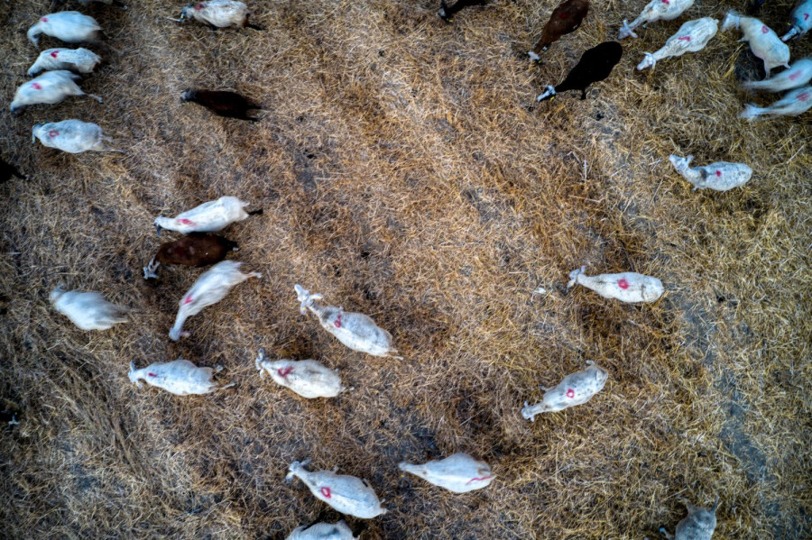 Αρχείου EUROKINISSI