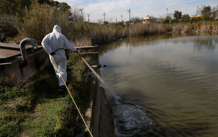 Αρχείου INTIME