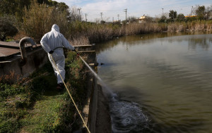 Ένας θάνατος την τελευταία εβδομάδα από τον ιό του Δυτικού Νείλου