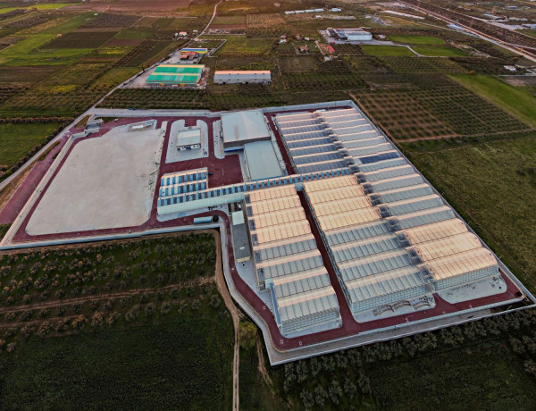 Η Tikun Olam Ελλάδος διευρύνει την πρόσβαση των ασθενών σε νέα τελικά προϊόντα φαρμακευτικής κάνναβης