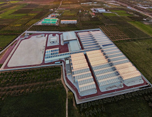 Η Tikun Olam Ελλάδος διευρύνει την πρόσβαση των ασθενών σε νέα τελικά προϊόντα φαρμακευτικής κάνναβης