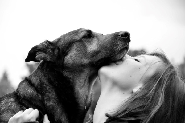 Γιατί κάποιος αγαπά τον σκύλο του περισσότερο από τους συνανθρώπους του; Μια συναρπαστική σχέση