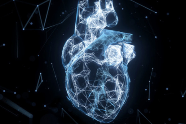 O FDA ενέκρινε λογισμικό απεικόνισης της καρδιάς
