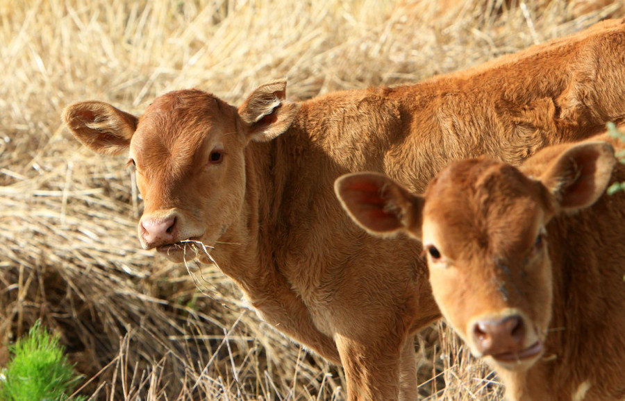 Αρχείου INTIME NEWS