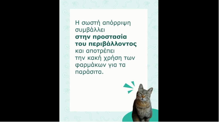 Εκστρατεία ενημέρωσης για την ασφάλεια των κτηνιατρικών φαρμάκων- Το ζήτημα με τα αντιπαρασιτικά