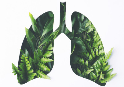 «Πνευμόνων Υγεία»: Το πρόγραμμα που προλαμβάνει, για πρώτη φορά, τον καρκίνο του πνεύμονα