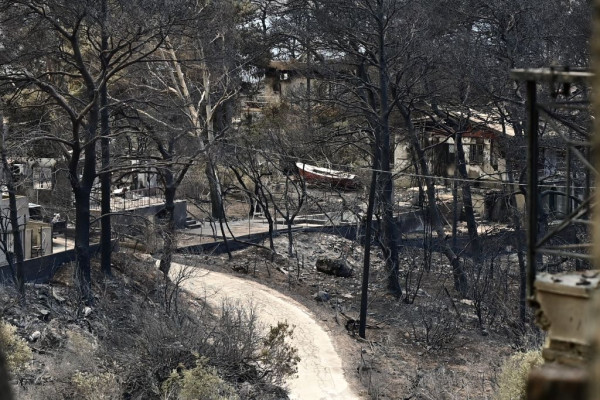 Meteo: Περισσότερα από 480.000 στρέμματα γης κάηκαν στη δυτική Αττική τα τελευταία 9 χρόνια