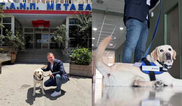 Ο Ντύλαν, ο πρώτος σκύλος θεραπείας του ΕΣΥ, στο πλευρό ογκολογικών ασθενών στο Νοσοκομείο «Μεταξά»
