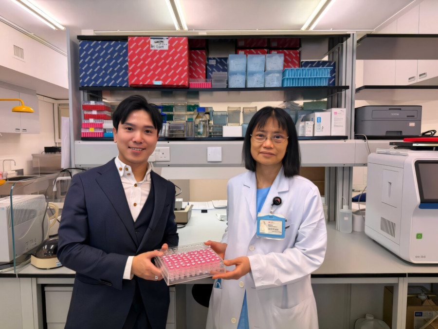 The University of Hong Kong