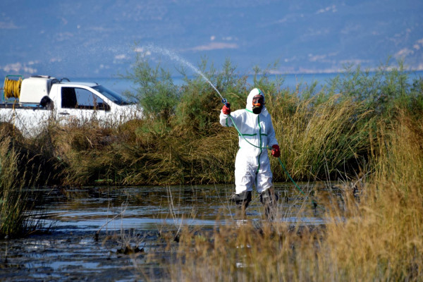 Στους 11 οι νεκροί από τον ιό του Δυτικού Νείλου - Αύξηση κατά 63% των κρουσμάτων