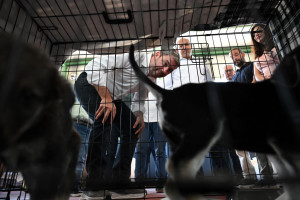 Στον σταθμό φιλοξενίας πυρόπληκτων ζώων στα Μέγαρα ο Νίκος Ανδρουλάκης