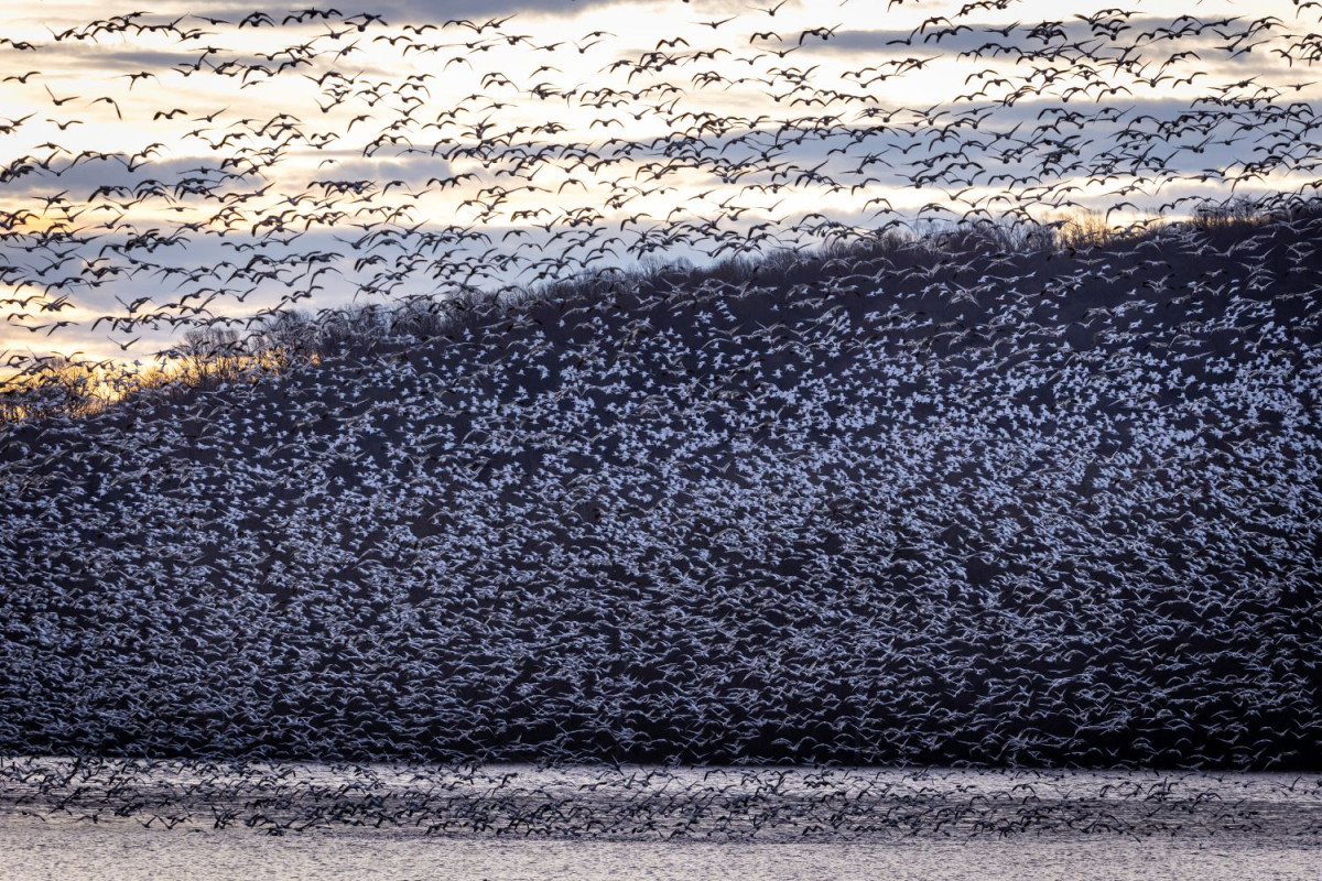 Αρχείου ΑΠΕ-ΜΠΕ