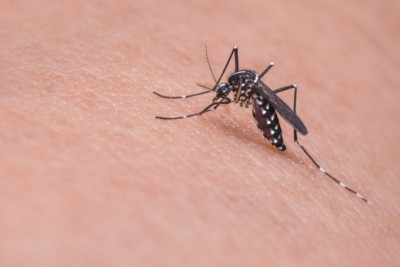ΠΟΥ: Νέες πρωτοβουλίες για τον περιορισμό της ελονοσίας στην Αφρική