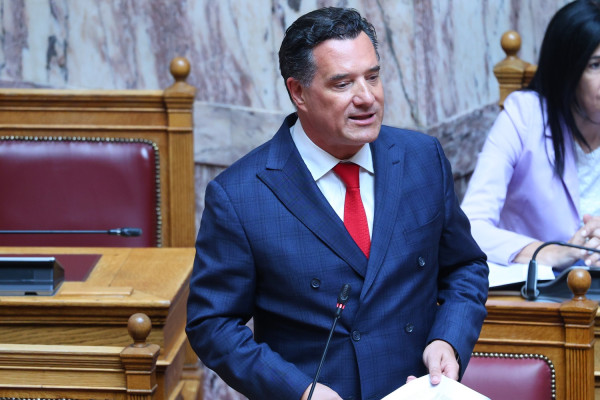 Γεωργιάδης: Δεν θα ήμουν αντίθετος στην επανίδρυση του Σώματος Επιθεωρητών Υγείας