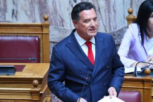 Γεωργιάδης: Δεν θα ήμουν αντίθετος στην επανίδρυση του Σώματος Επιθεωρητών Υγείας