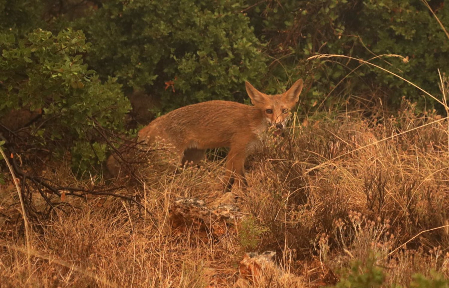 Αρχείου INTIME NEWS
