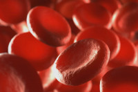 Bayer: Προσφορά 50 εκατ. μονάδων Θεραπείας στην Παγκόσμια Ομοσπονδία Αιμορροφιλίας