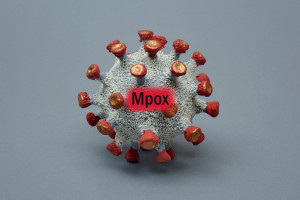 Ευλογιά των πιθήκων: Συρροή τοπικά μεταδιδόμενων κρουσμάτων επικίνδυνου στελέχους στο Βερολίνο