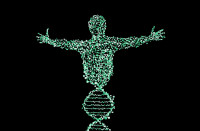 Επιτέλους ολοκληρώθηκε η ανάλυση του Ανθρώπινου DNA