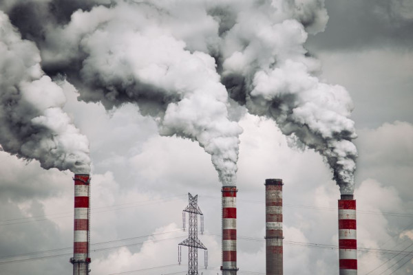 WWF: Το 85% των Ελλήνων τάσσεται υπέρ της λήψης μέτρων για την αντιμετώπιση της κλιματικής κρίσης